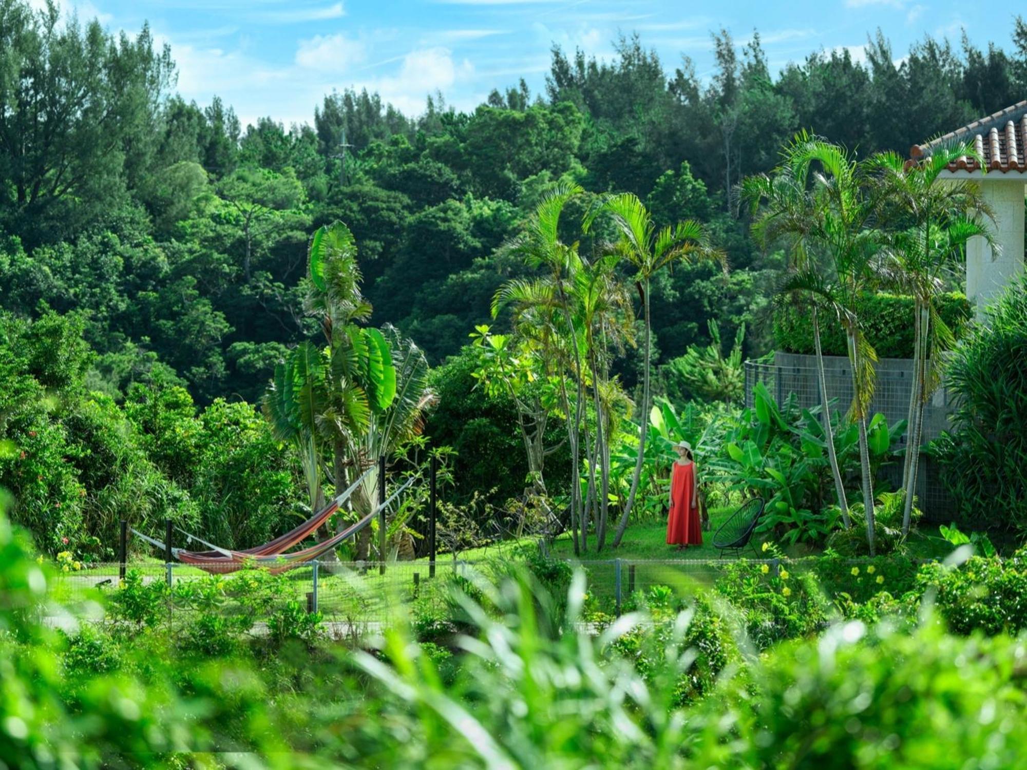 נאגו Oriental Hotel Okinawa Resort & Spa מראה חיצוני תמונה A view of the forest from the house